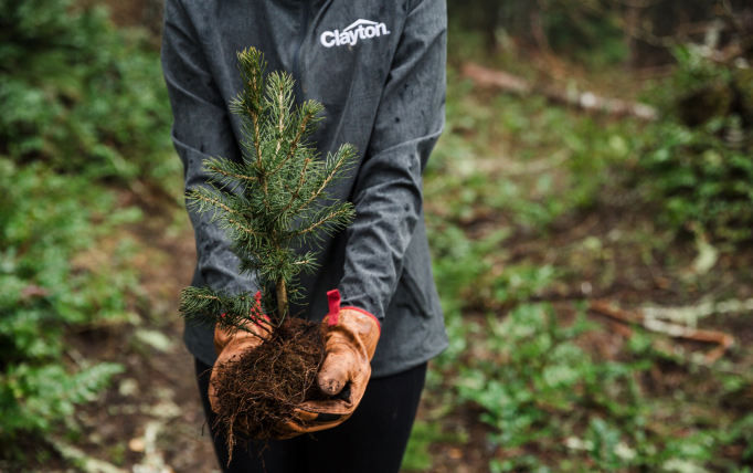 eBuilt: Lady planting a tree